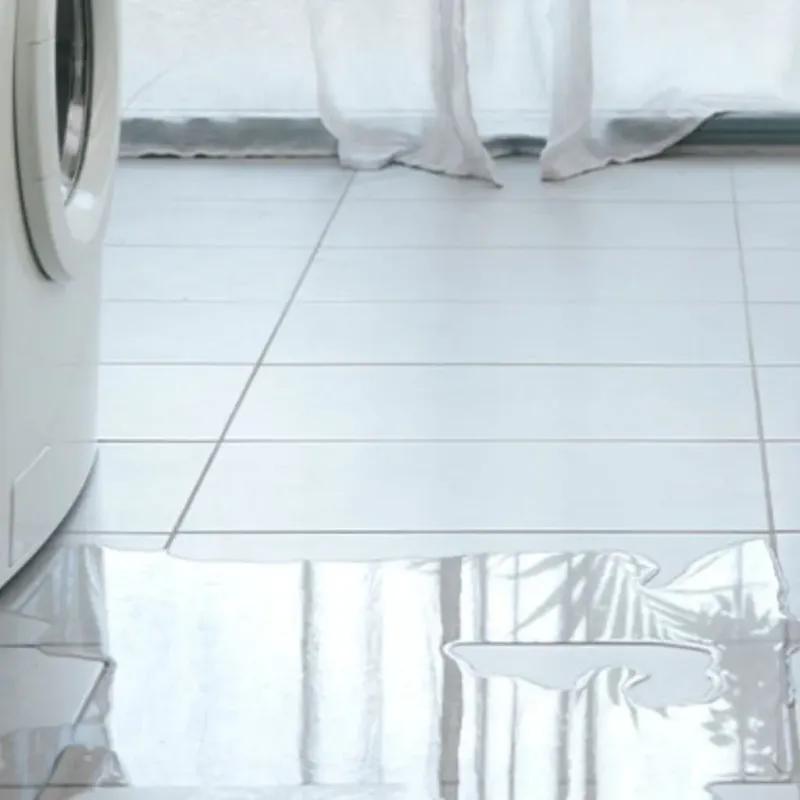 Appliance Leak Cleanup in Valley Grande, AL