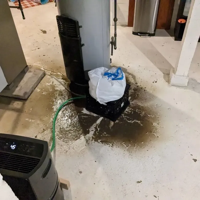 Sewage Backup Cleanup Service in Valley Grande, AL